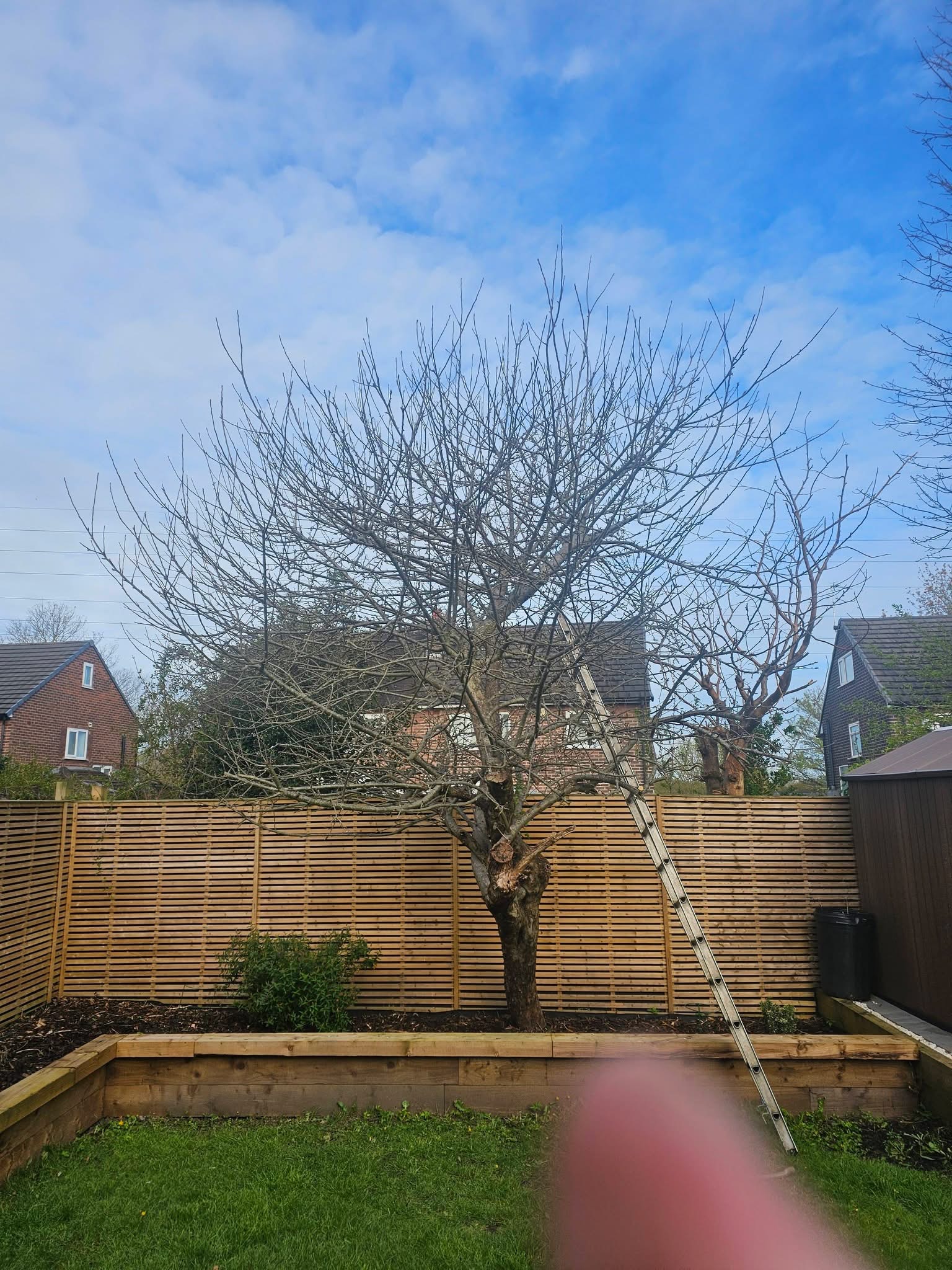 Garden tree